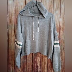 American Eagle Outfitters Gray Hooded Sweater
